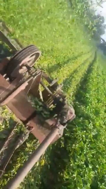 Кир в деле 💪 смотреть онлайн