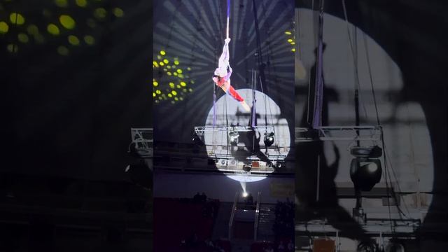 Цирк в Костроме ✨2024