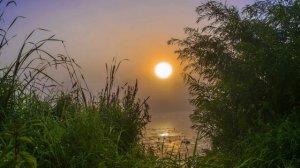 Стучала в окна звёздная сирень. Исполняет ВИА "Костёр". Записано в1982-83г