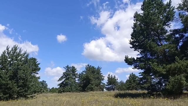 16 июля народный праздник Стожары. Маков день. Что делать нельзя. Народные приметы и традиции. смотреть онлайн