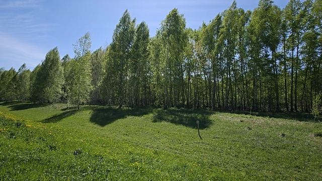 1000057496.mp4 смотреть онлайн
