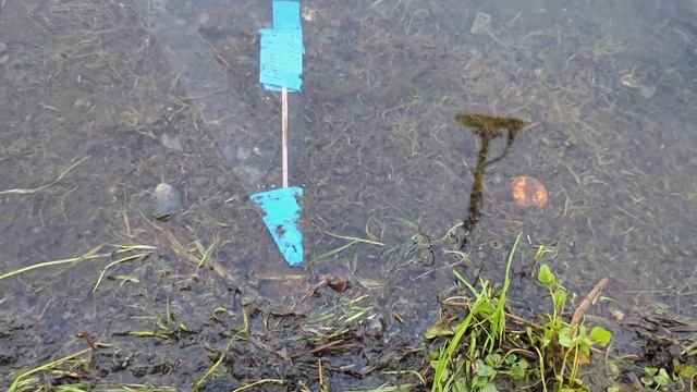 Minelab equinox 900 настройки для пресного пляжа!плюсы минусы ? смотреть онлайн