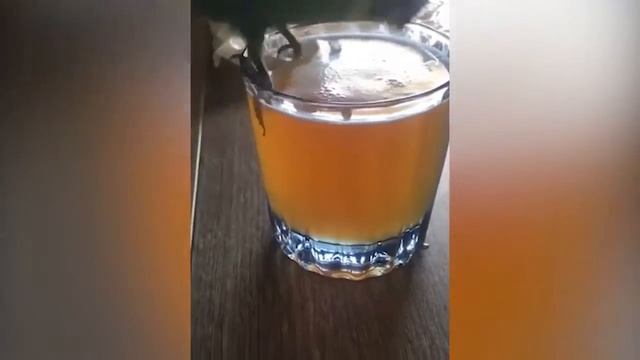 В конце рабочей недели смотреть онлайн