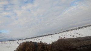 Гусь 2025.Охота на гуся 2025.Встреча с друзьями на Гусинои?