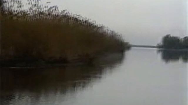 Рыбалка на хищника в дельте Волги