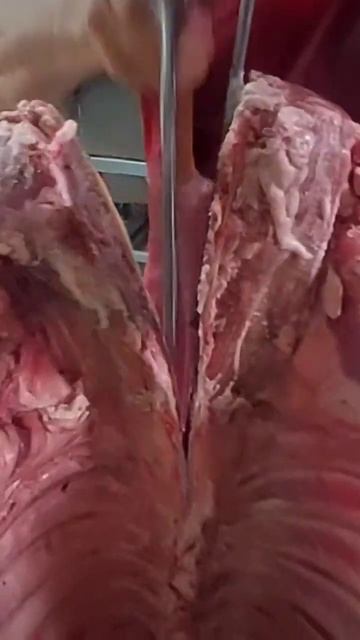 РУБКА БАРАШКА ПО ХРЕБТУ, ТОПОР ВЕС 3.4КГ😀👍КУПИТЬ ТОПОР ВАТСАП +79187847333ВАТСАП смотреть онлайн