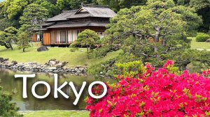 ПУТЕШЕСТВИЕ ПО ЯПОНИИ. Часть 1 — Токио