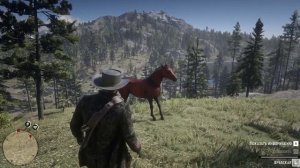 Как найти, приручить: Красно-Рыжую, арабскую лошадь. Red Dead Redemption 2