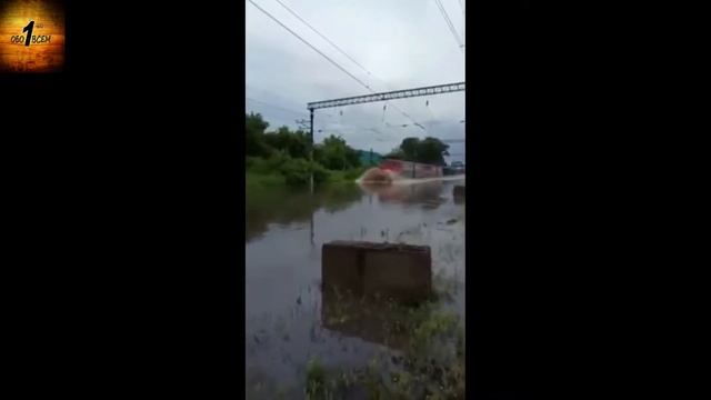 Вот это дела)))Приколы))) смотреть онлайн