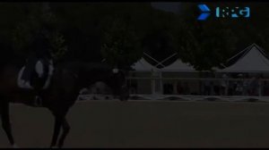 Первенство Европы. Командный приз. Юноши.