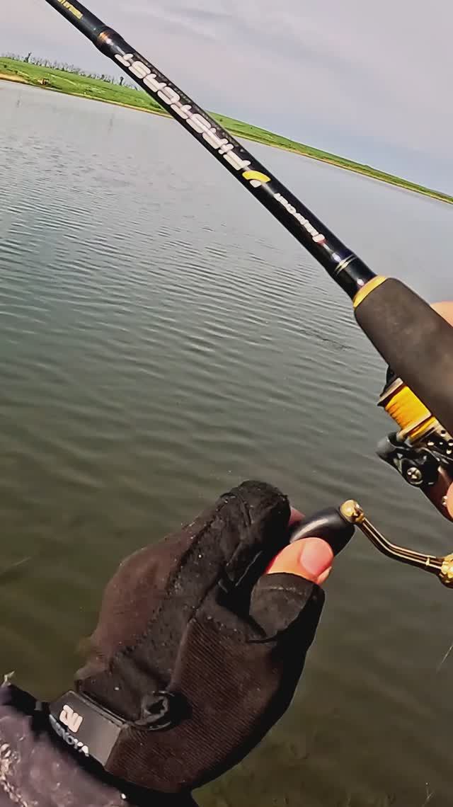 НЕ Ловите рыбу ТУПЫМИ крючками! 😱 смотреть онлайн