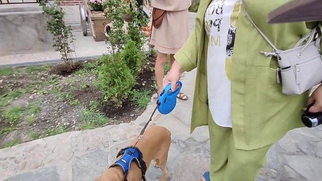 Лерка в шлёпках приехала на базар)) смотреть онлайн