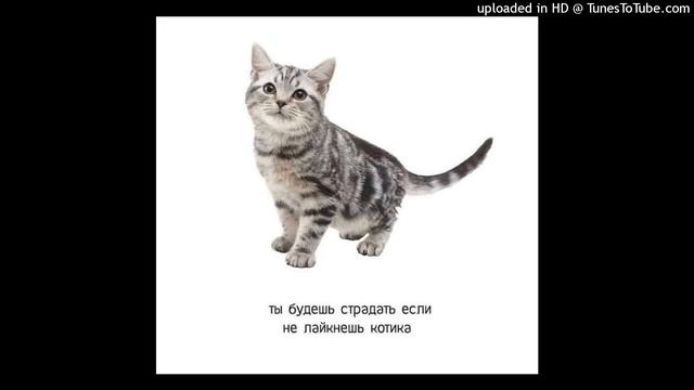 !free! desxlate x takizava type beat - "ну кик чутка бьёт" (prod. 4STR4L!) смотреть онлайн