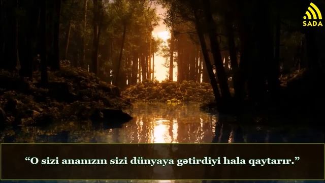Allahın Bağışlaması