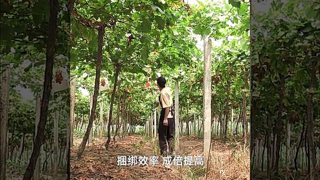 Степлер тапенер садовый подвязочный инструмент Tapetoo