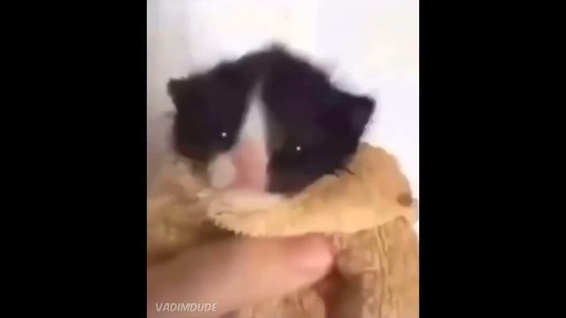 съели((( смотреть онлайн