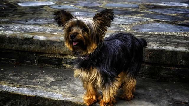 Самые крутые песни и видео бесплатно