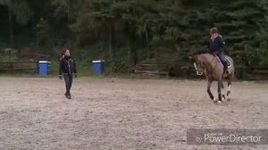Клип про конный спорт