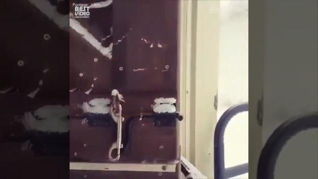 Смешные моменты с лошадьми смотреть онлайн