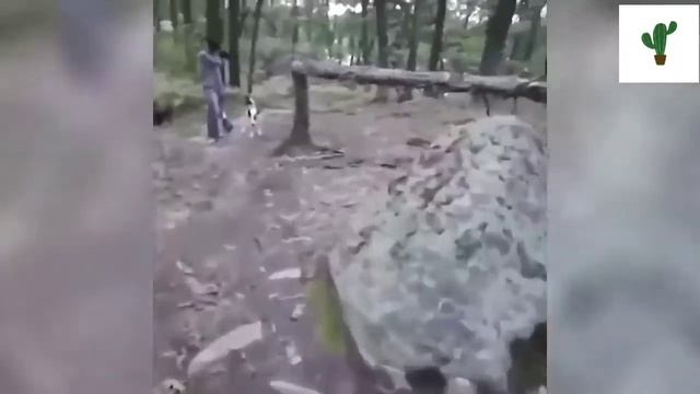 Приколы падения #1 /KAKTUS 🌵\ смотреть онлайн