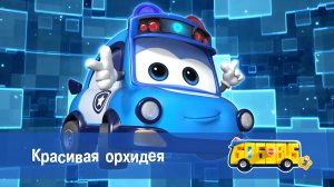 Школьный автобус Гордон, 3 сезон,  15 серия. Красивая орхидея