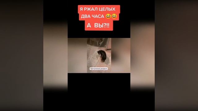 Старые приколы смотреть онлайн