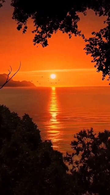 Красивое видео 🥰