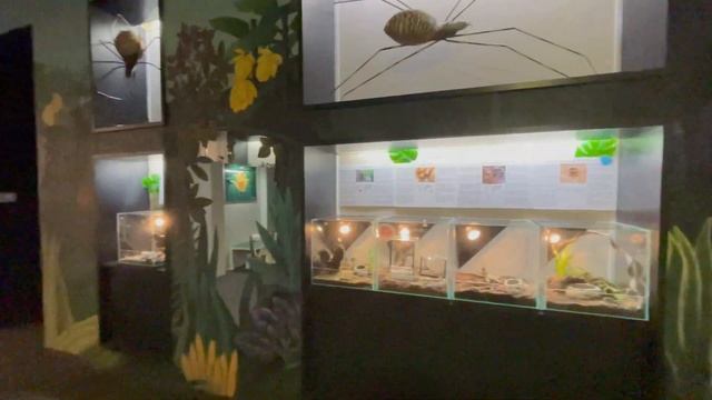 Выставка пауков (Sky Tower Wroclaw)