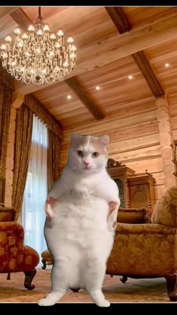 Нет у нас классной одежды, но есть классные проекты смотреть онлайн