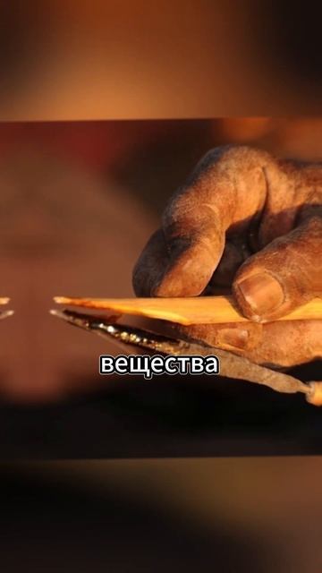 САМЫЕ ЯДОВИТЫЕ НАСЕКОМЫЕ #животные #интересное #позна? смотреть онлайн