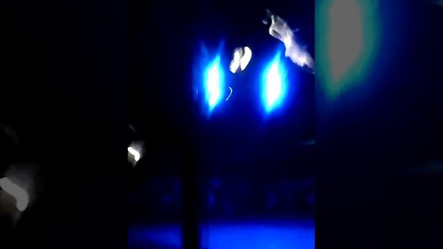 Я в цирке 3 смотреть онлайн