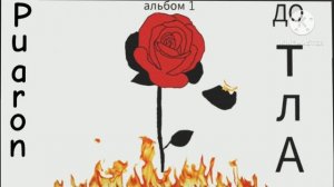 песня "две гвоздики" из альбома "до тла"