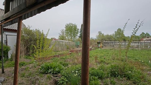 1000057512.mp4 смотреть онлайн