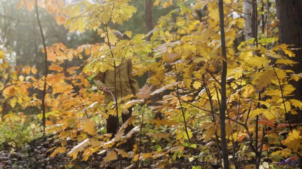 Музыка так подчёркивает виды, что дух захватывает - Sunday Funday -- Scott Holmes Music -- Music for