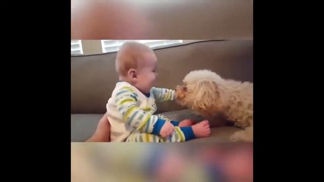 Смешные дети 2018 #6. Самые ржачные приколы с детьми. смотреть онлайн