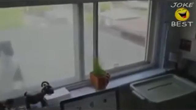 Супер пупер видео приколы 2013 10) Super video tricks 2013 (10) смотреть онлайн