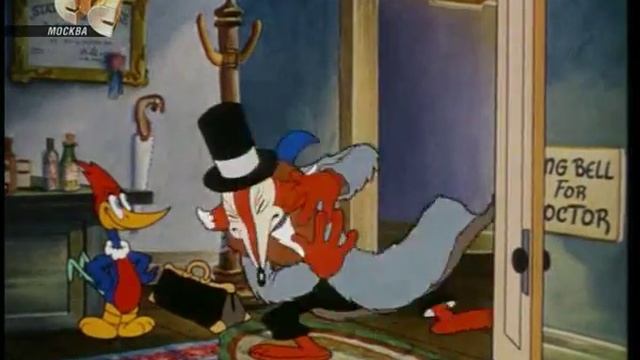 Дятел Вуди Вудпекер /1 серия/ Вуди Вудпекер
