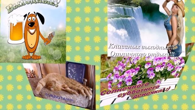 Суббота! Ура! Впереди выходные! смотреть онлайн