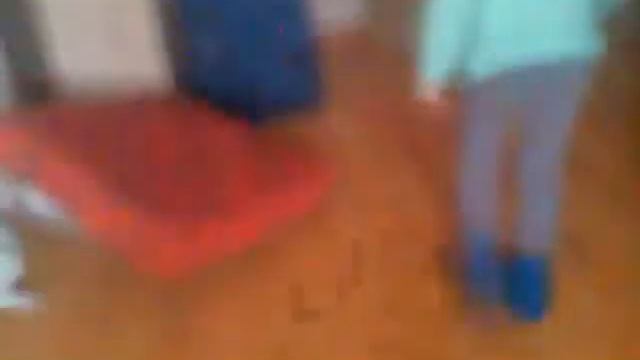 Смешное видео про французского бульдога как французский бульдог учился команды смотреть онлайн