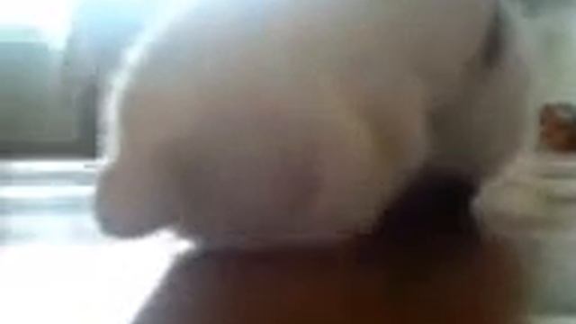 Чот приуныл смотреть онлайн