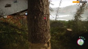 Sons Of The Forest ПРОХОЖДЕНИЕ #2 СТРОИМ БАЗУ ОБУСТРАИВАЕМСЯ НА БЕРЕГУ