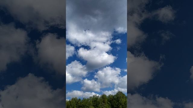 Птицы кричали и летали кругами смотреть онлайн