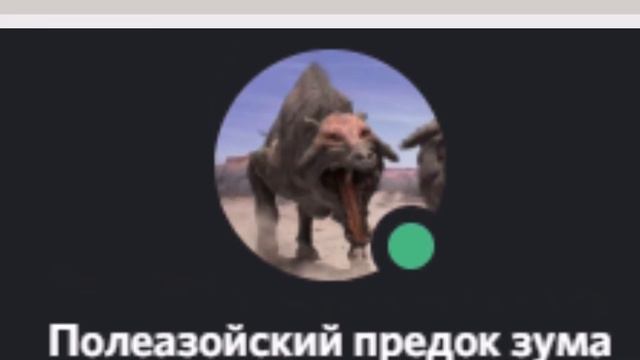 Видеоальбом 