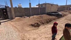 02.03.2025 Тайебех занята выполнением сельскохозяйственных работ и утеплением курятника.🐓🦆