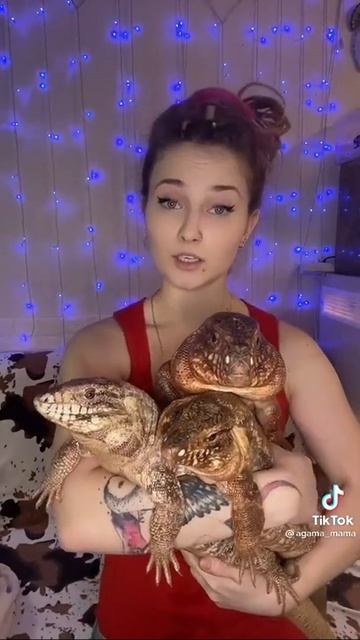 Подпишись на наш канал и смотри другие смешные видео! смотреть онлайн