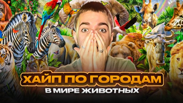 ХАЙП ПО ГОРОДАМ / В МИРЕ ЖИВОТНЫХ