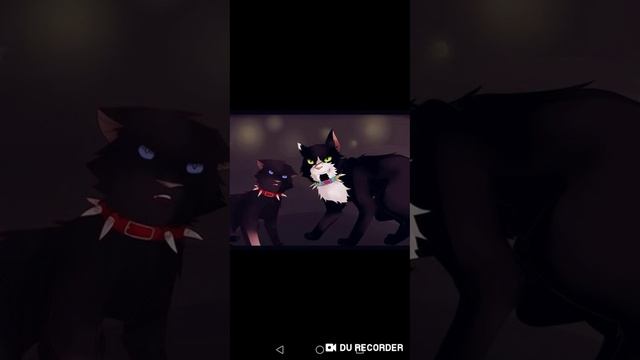 Бич юморист