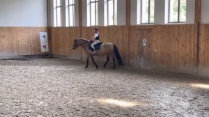 Валерия 5 урок верховой езды