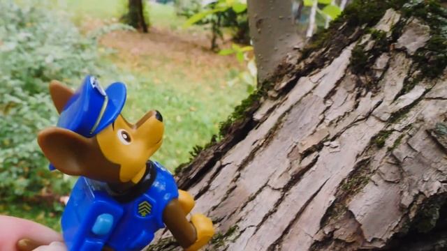 Клад в песочнице для игрушек Щенячий патруль и Робокар Поли. Детский садик - Видео для детей смотреть онлайн