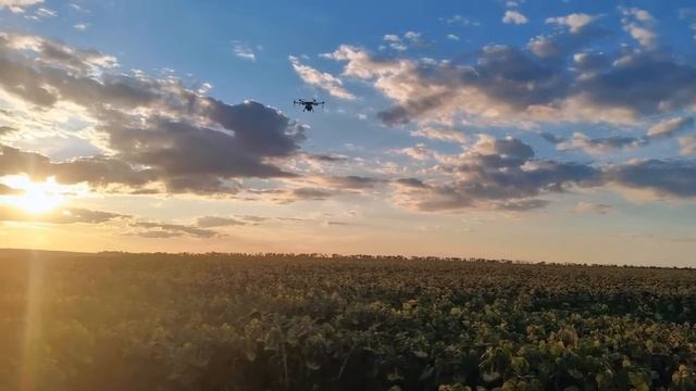 Услуги агро дронами от компании 